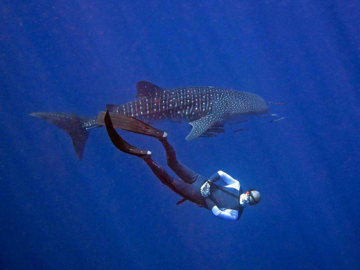 מלון Ban Khlong Kloi Sea Paradise מראה חיצוני תמונה