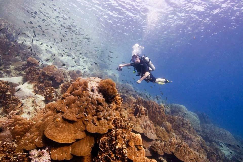 מלון Ban Khlong Kloi Sea Paradise מראה חיצוני תמונה